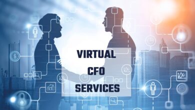Are you curious about how virtual CFO services are used in India?